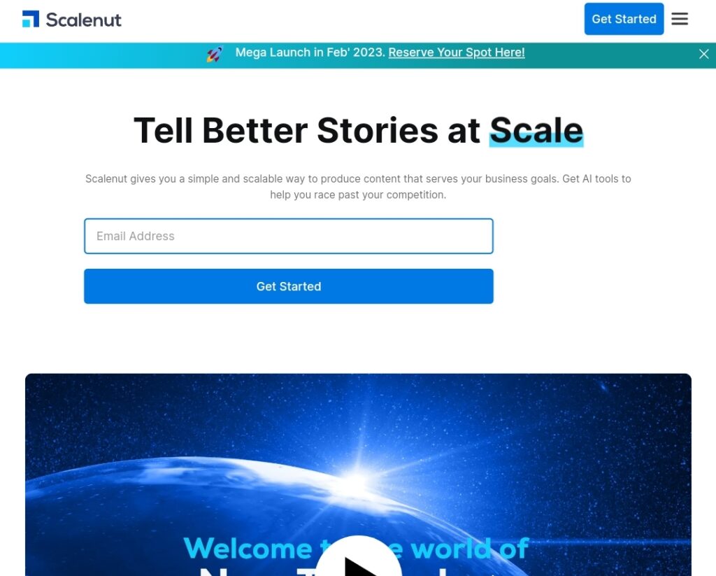 Image of Scale nit Website